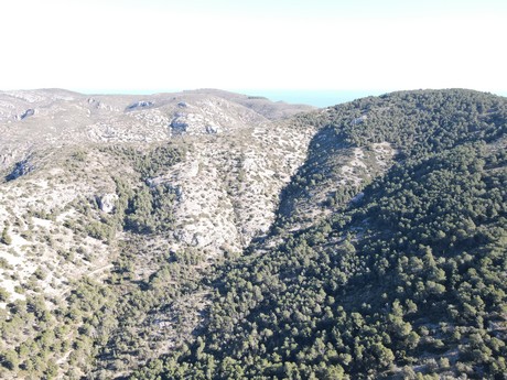 Santa Magdalena de Pulpis